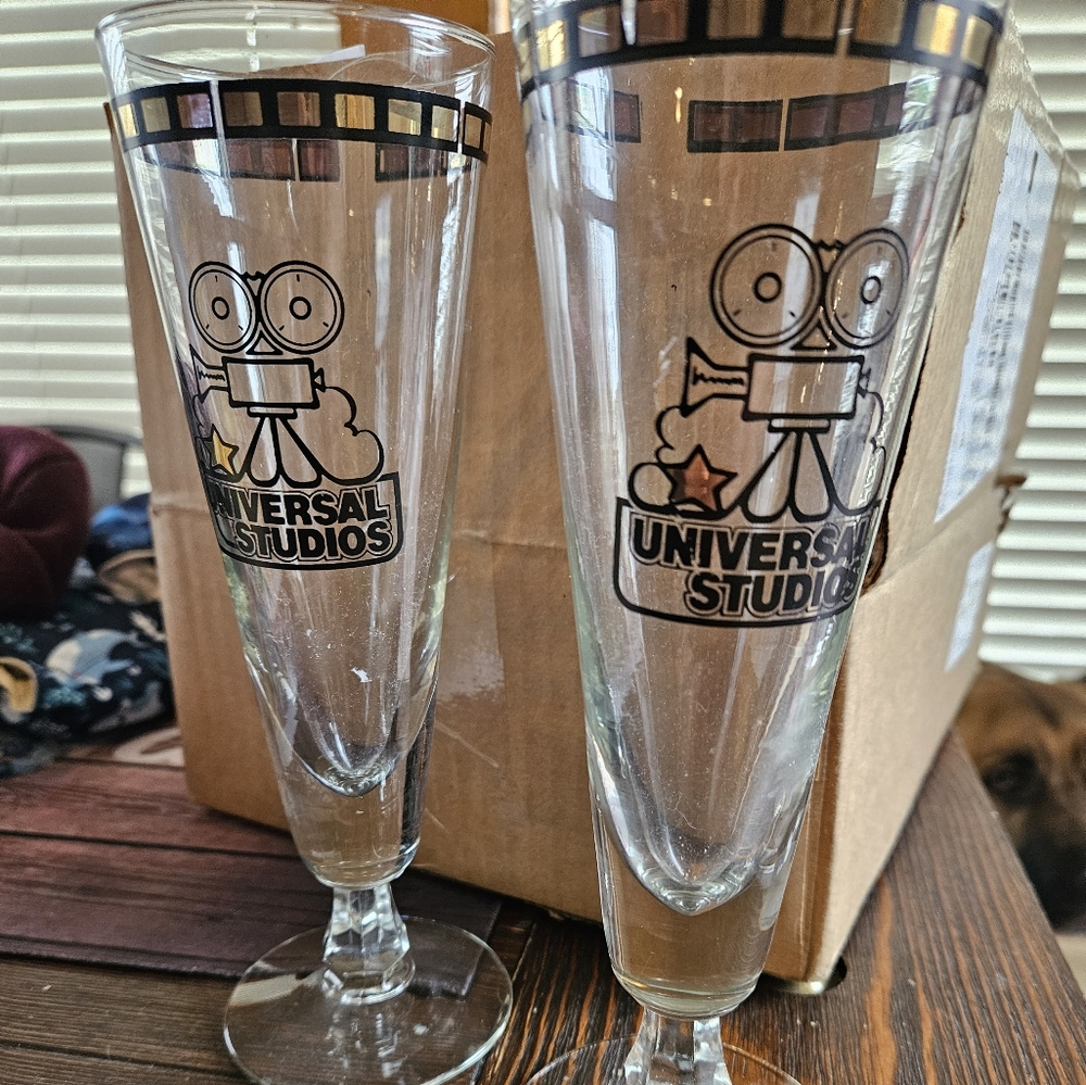 Universal Studios Florida Pilsner Glasses Souvenir